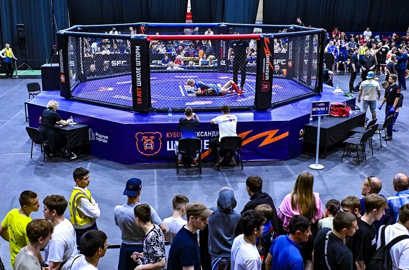 В MMA бойцы соревнуются в специальной клетке - октагоне. Фото