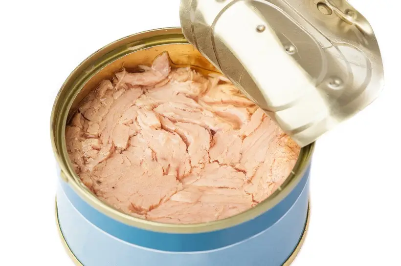 Консервированный тунец - популярный продукт, который ценится за удобство, долгий срок хранения и высокую пищевую ценность. Фото