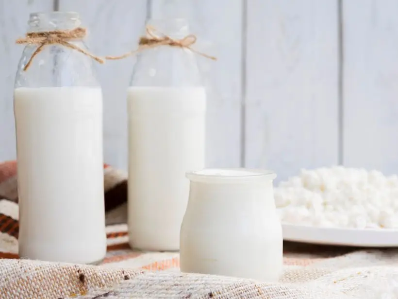 У каждого из продуктов свой уникальный набор пробиотиков и особые полезные свойства. Фото