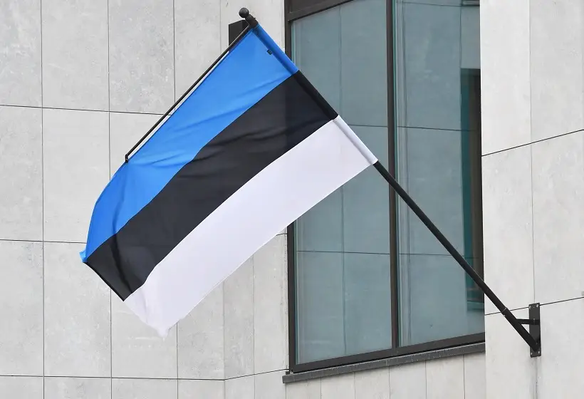 В Эстонии посоветовали Украине выбирать трассы полетов дронов не через балтийскую республику. Фото