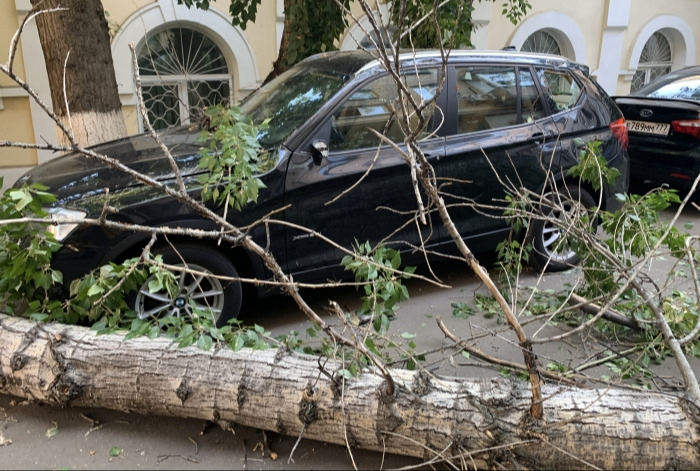 Ураганный ветер в Кургане повалил деревья, повредил кровли, перевернул автобусные остановки