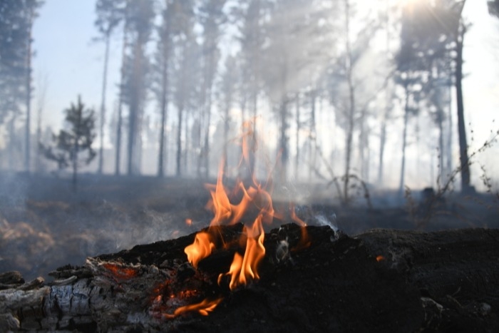 Площадь лесных пожаров продолжает расти в Прибайкалье