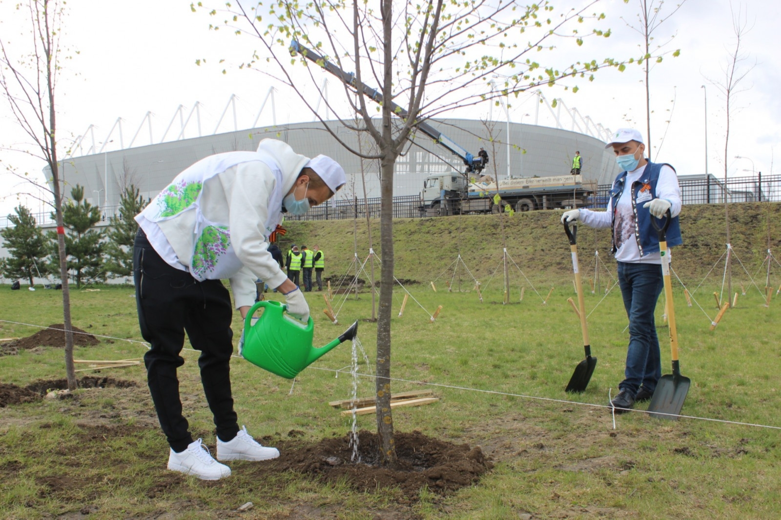 Более 300 тыс. деревьев высадили в Ростовской области в честь 75-летия Победы