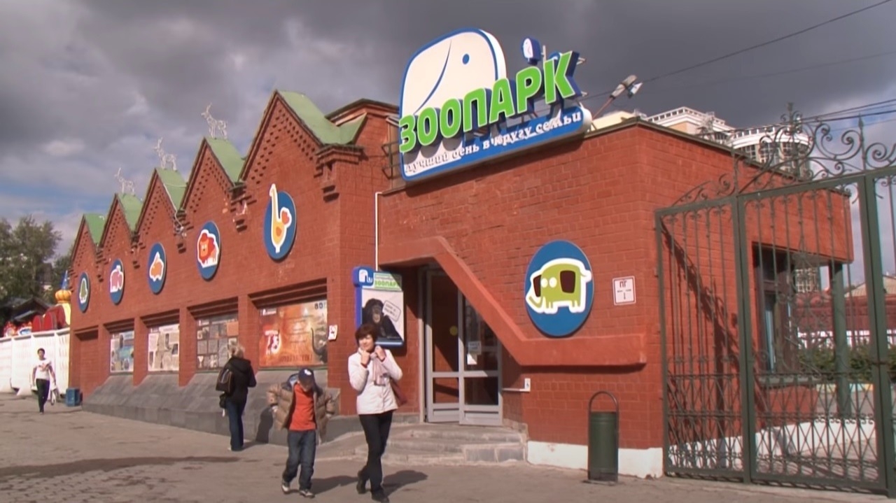 Зоопарк Екатеринбурга подтвердит деятельность в суде для получения господдержки