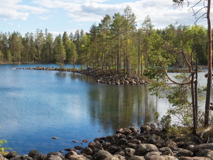 Очистка озера Шарташ в Свердловской области обойдется в 500 млн рублей