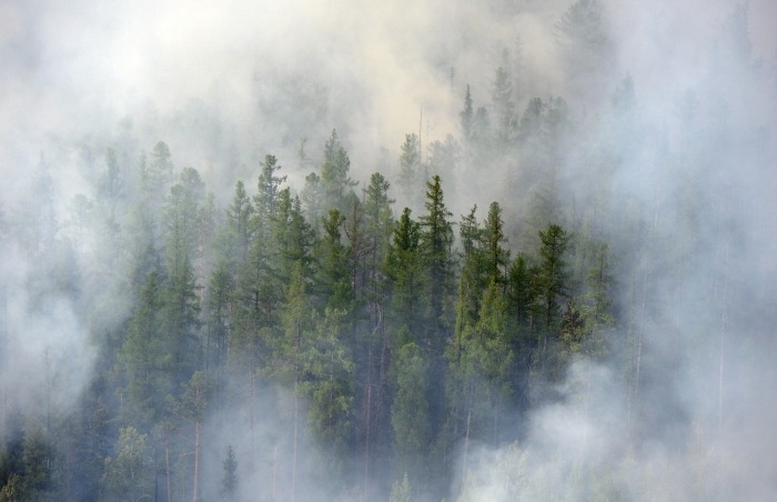 Лес на площади более 54 тыс. га горит в Иркутской области