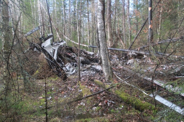 Самолет АН-2 упал под Нижним Новгородом