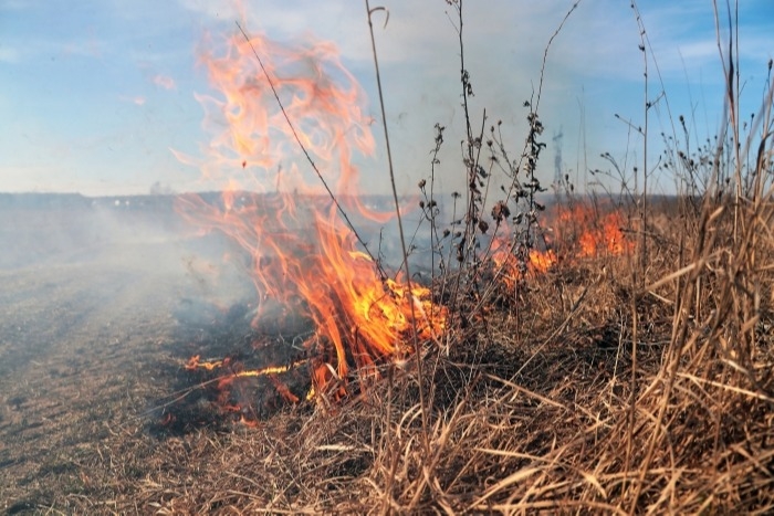 Природных пожаров в Ростовской области этим летом в три раза больше, чем годом ранее