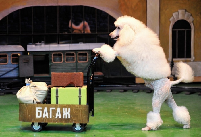 Новую сцену театра "Уголок дедушки Дурова" откроют в конце года
