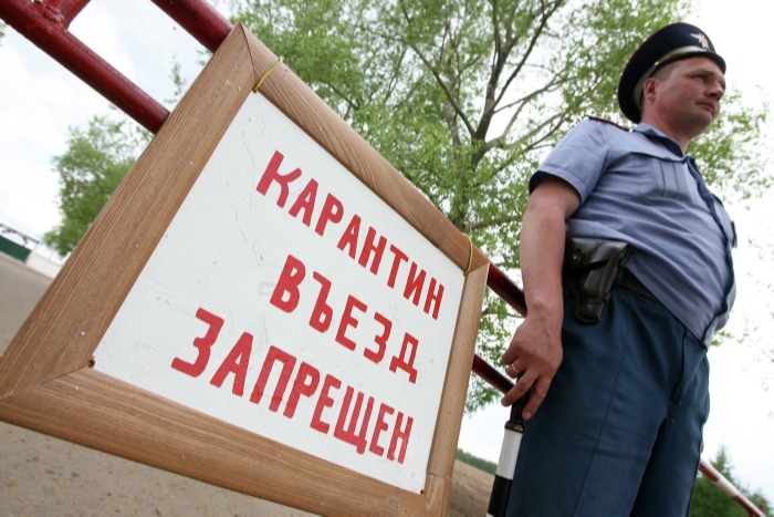 Карантин по АЧС введен в двух районах Псковской области