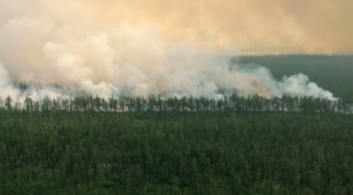 Дожди способствуют сокращению числа лесных пожаров в Свердловской области