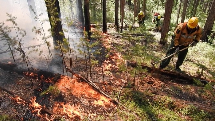 Площадь лесных пожаров в ХМАО сократилась с 11 до 6,5 тыс. га