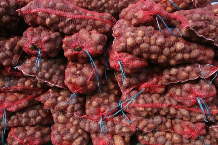 Урожай картофеля может в 1,5 раза сократиться из-за засухи в Челябинской области