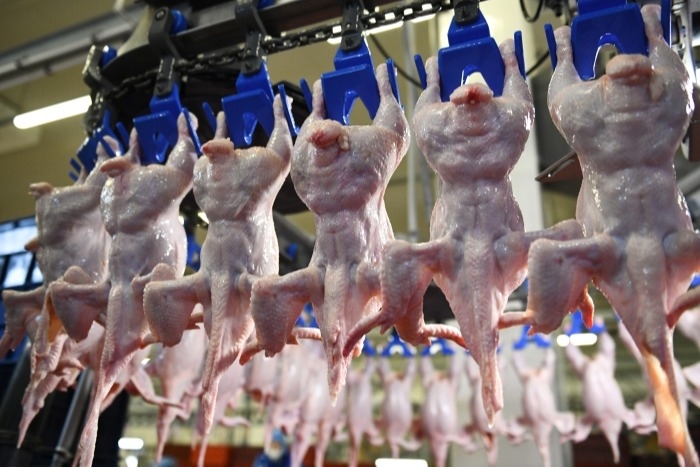 Росптицесоюз: РФ в 2020 г. увеличит экспорт мяса птицы до 300 тыс. тонн 