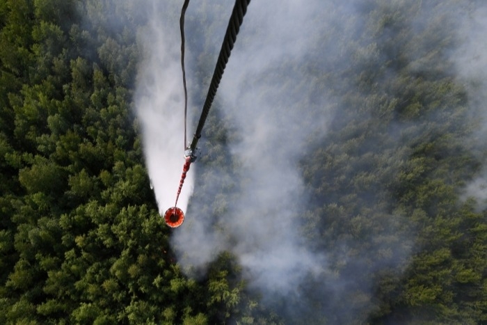 Рослесхоз: с начала года площадь лесных пожаров составила более 5 млн га