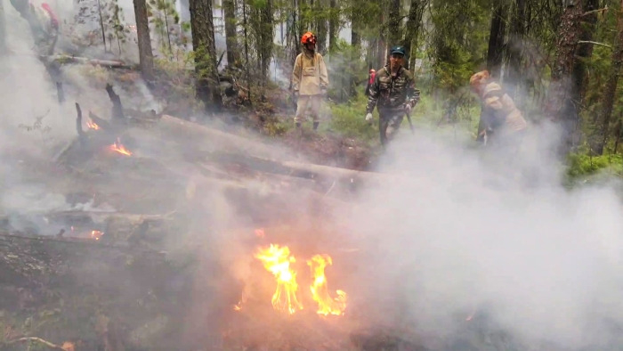 Пожар в заповеднике "Денежкин Камень" в Свердловской области полностью потушен