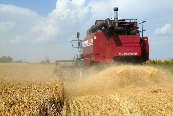 Курская область завершила уборку ранних зерновых