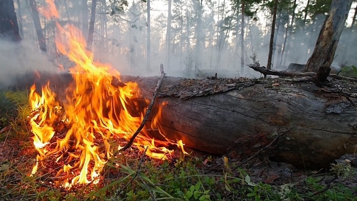 Лес в Якутии горит на площади более 90 тыс. га
