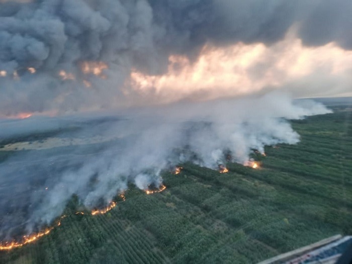 Третий природный пожар потушен в Ростовской области