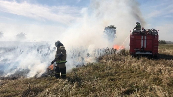 Еще один природный пожар тушат в Ростовской области на площади 1 га