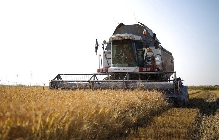 Аграрии Дагестана приступили к уборке риса