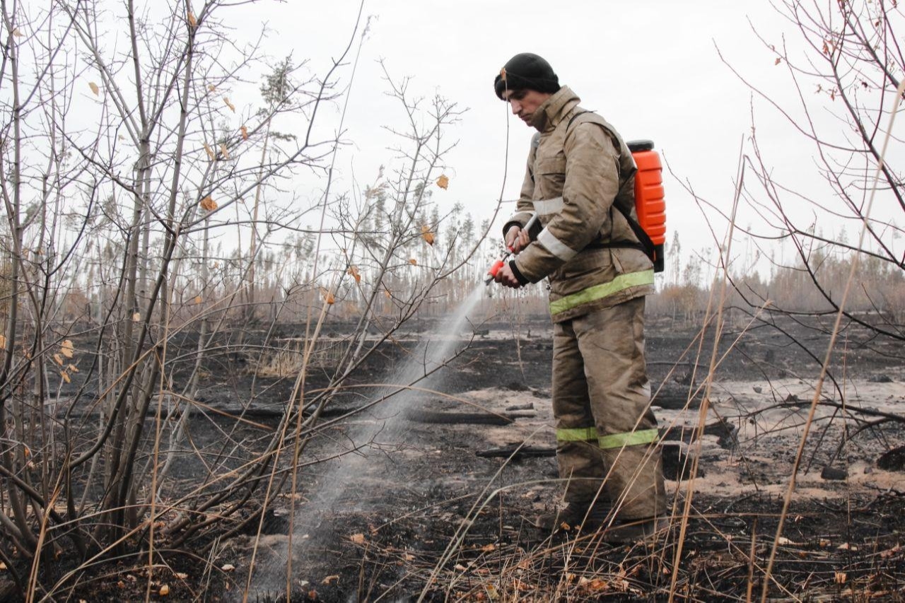 Пострадавшим от ландшафтных пожаров в Воронежской области возместят ущерб