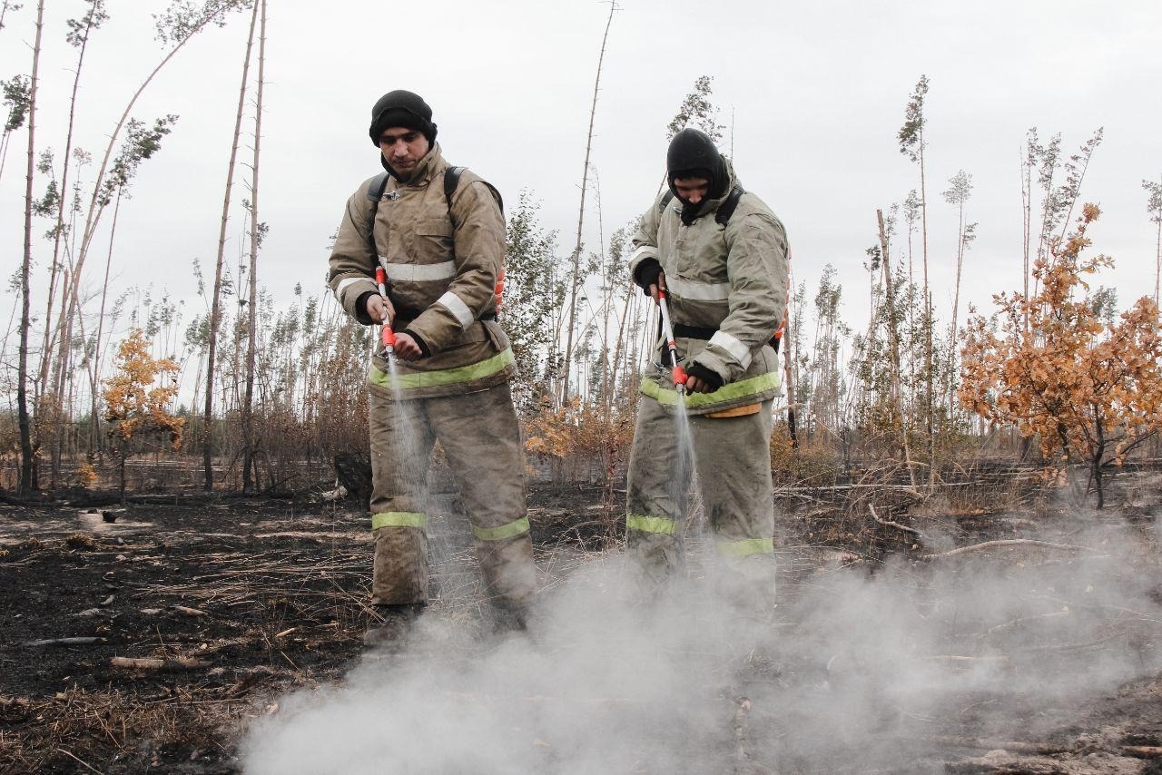 Режим чрезвычайной ситуации вводится в Воронежской области из-за лесных пожаров