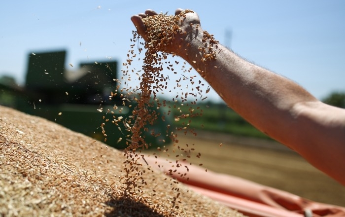 Воронежская область собрала рекордные 6 млн тонн зерна