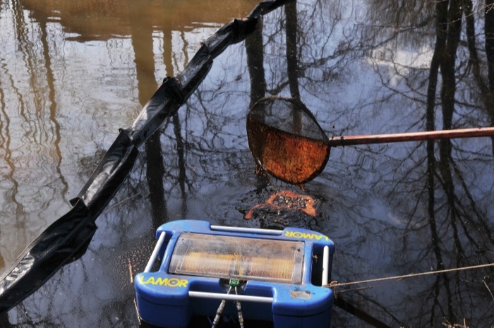 Специалисты завершили сбор нефтепродуктов на реке Обь в Томской области