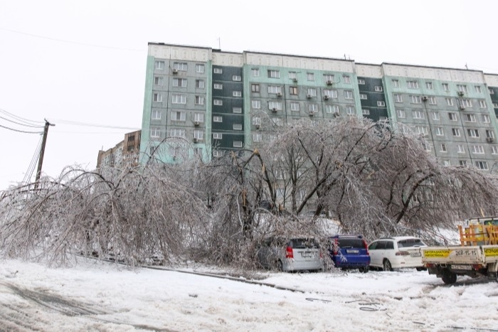 Ущерб от ледяного шторма в Приморье предварительно оценивается в 266 млн рублей