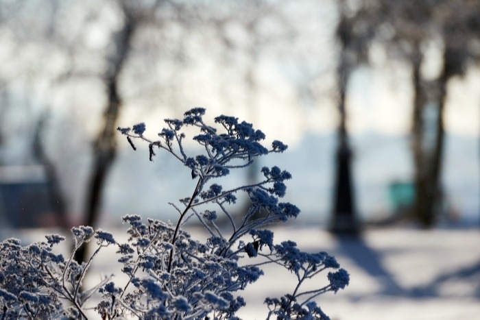 Аномальное похолодание до минус 22 градусов ожидается в Калмыкии