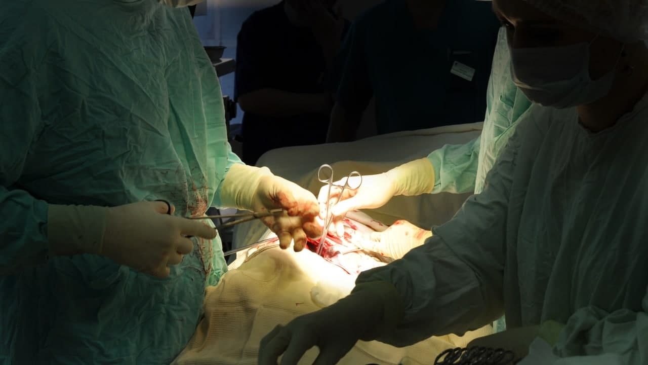 Иголку обнаружили в сердце пациента врачи областной больницы Приамурья