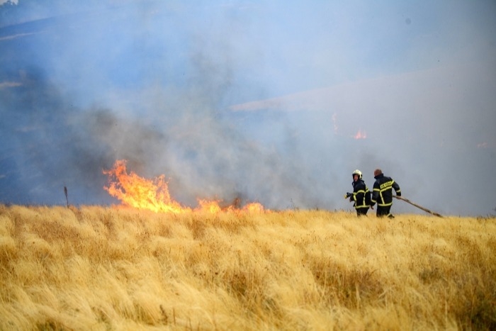 Пятые сутки продолжается ликвидация природных пожаров в Сочи