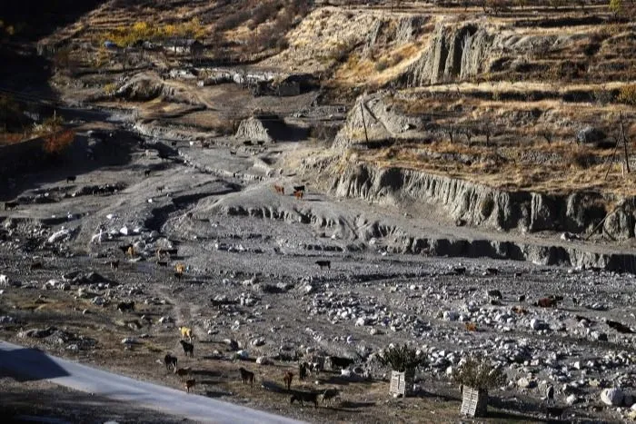 Меликов: проблема опустынивания пастбищ в Дагестане требуют незамедлительного решения