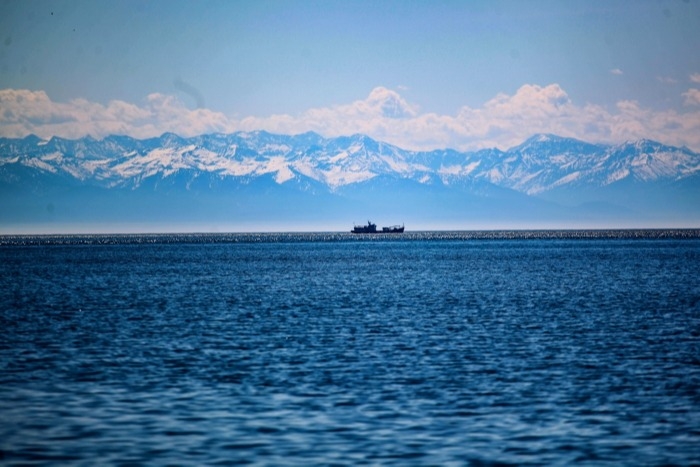 Восемь пловцов из разных стран намерены за 30 часов переплыть Байкал с юга на север