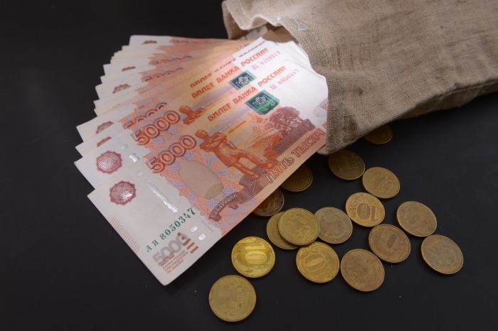 Чиновница из Северной Осетии подозревается в хищении 21 млн рублей