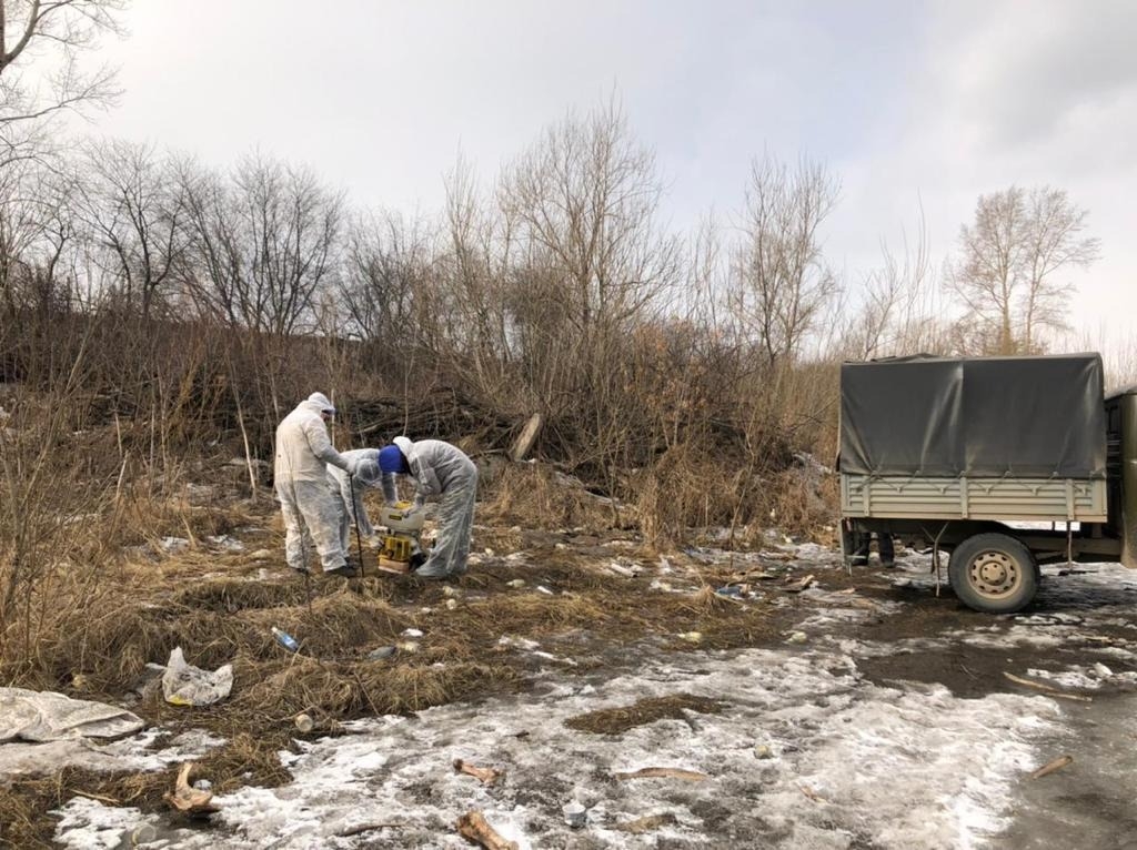 Природоохранная прокуратура подтвердила наличие незаконного скотомогильника под Красноярском