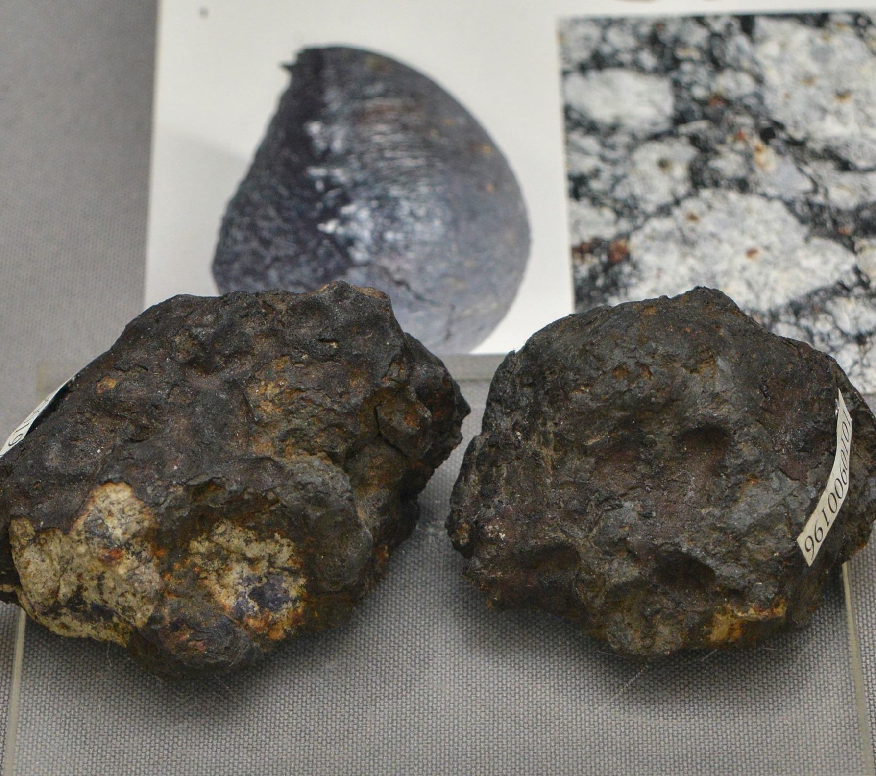 Выставка с уральскими метеоритами откроется в Екатеринбурге
