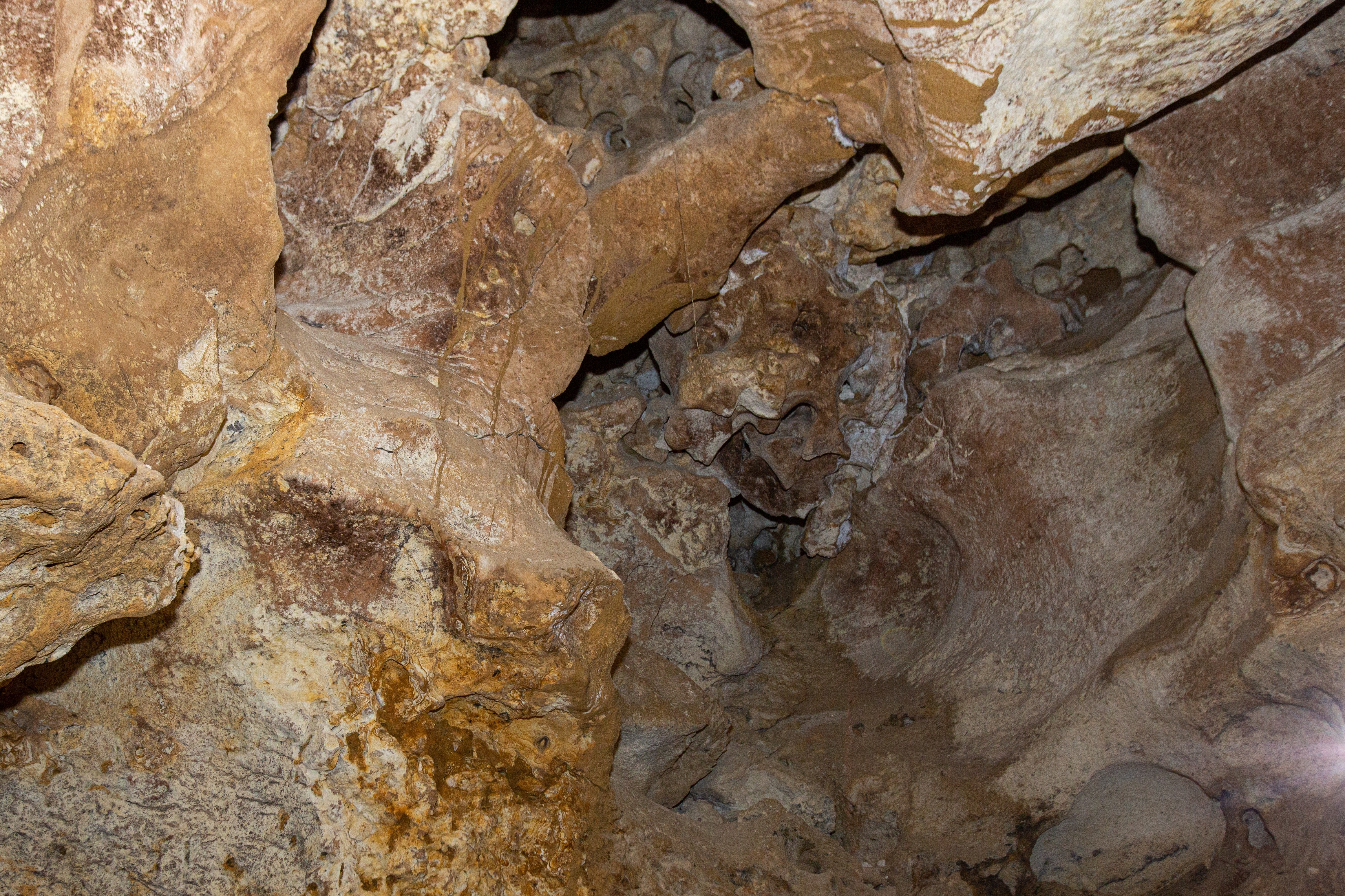Пещера "Таврида" в Крыму станет первым в РФ подземным объектом, доступным для инвалидов