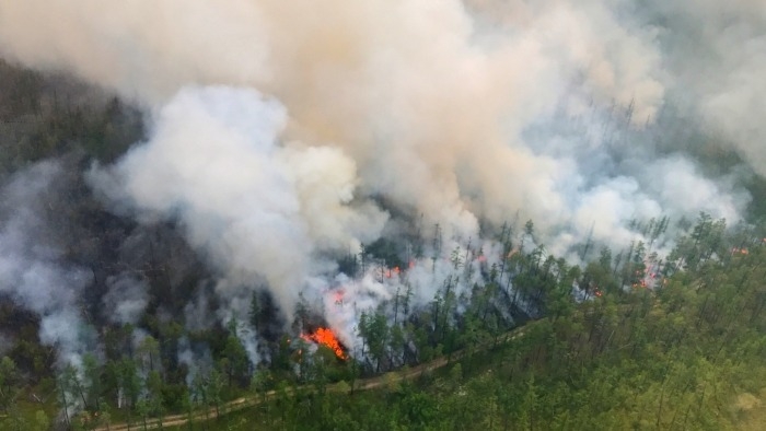Лесные пожары на площади почти 100 га тушат в Якутии