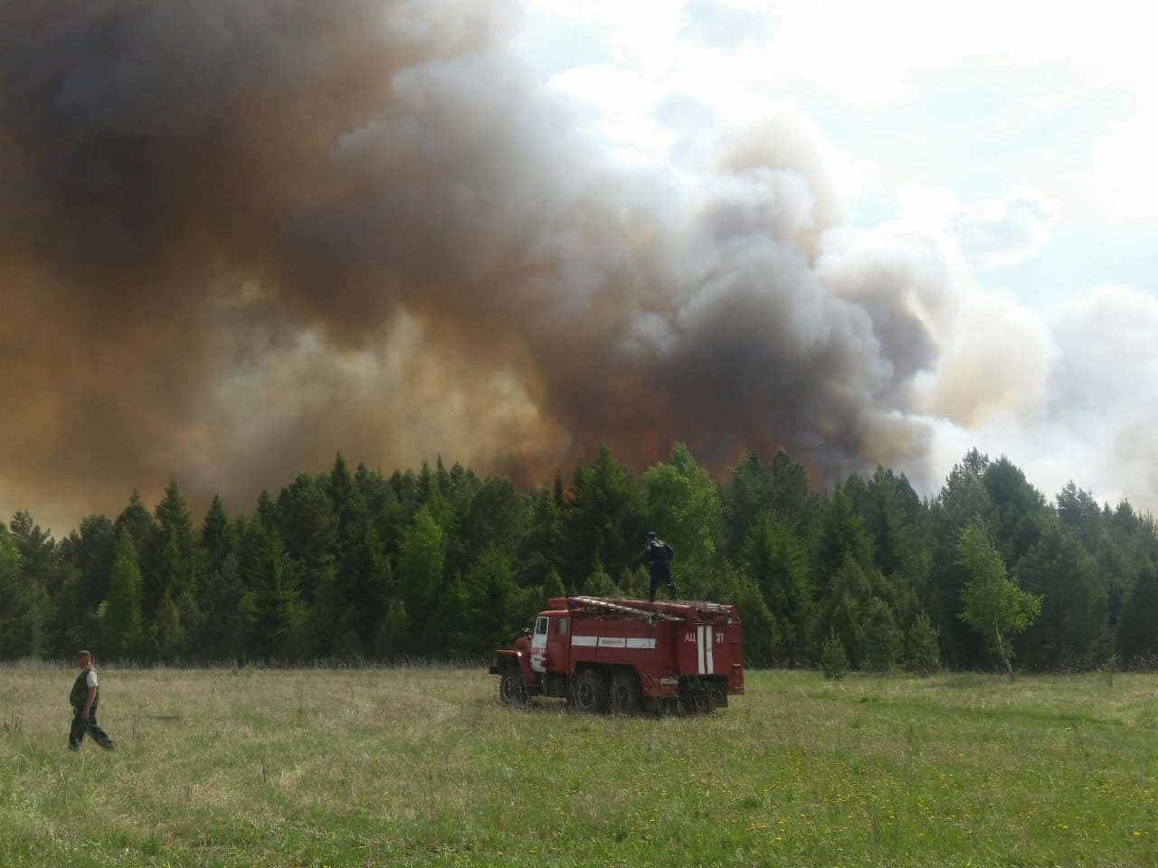 Лес на площади 10 га горит в Удмуртии