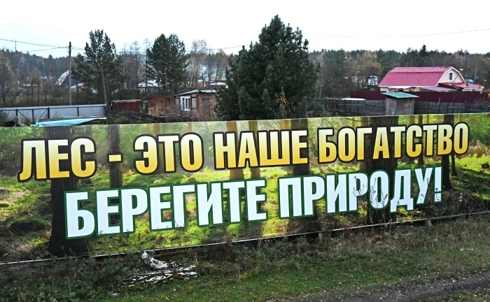 Ограничение на посещение лесов введено в Липецкой области