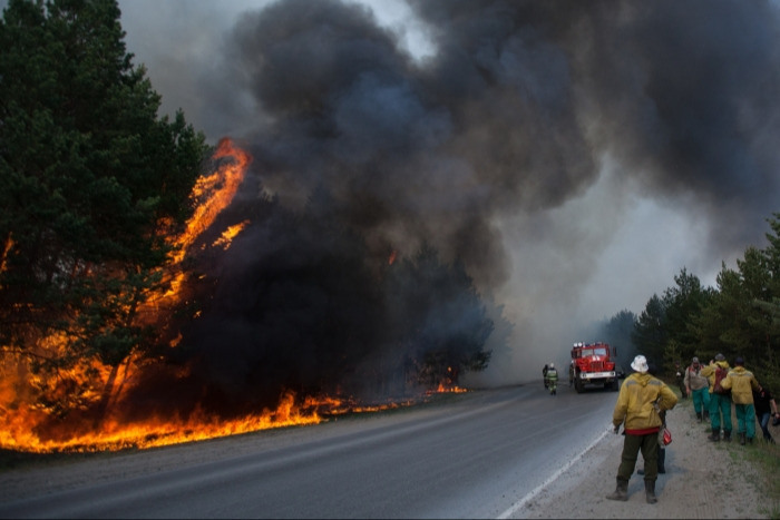 Движение на участке трассы Екатеринбург - Тюмень ограничили из-за лесного пожара