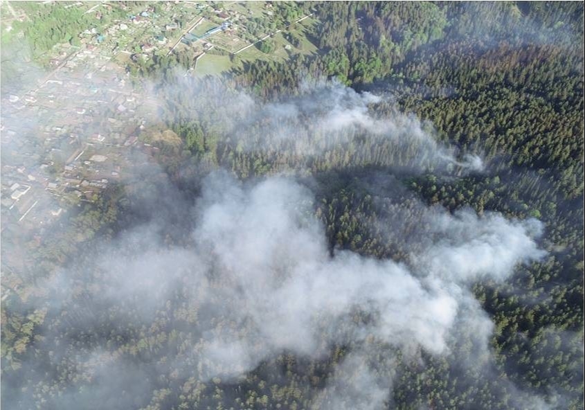 Режим ЧС введен в зоне лесного пожара в Удмуртии