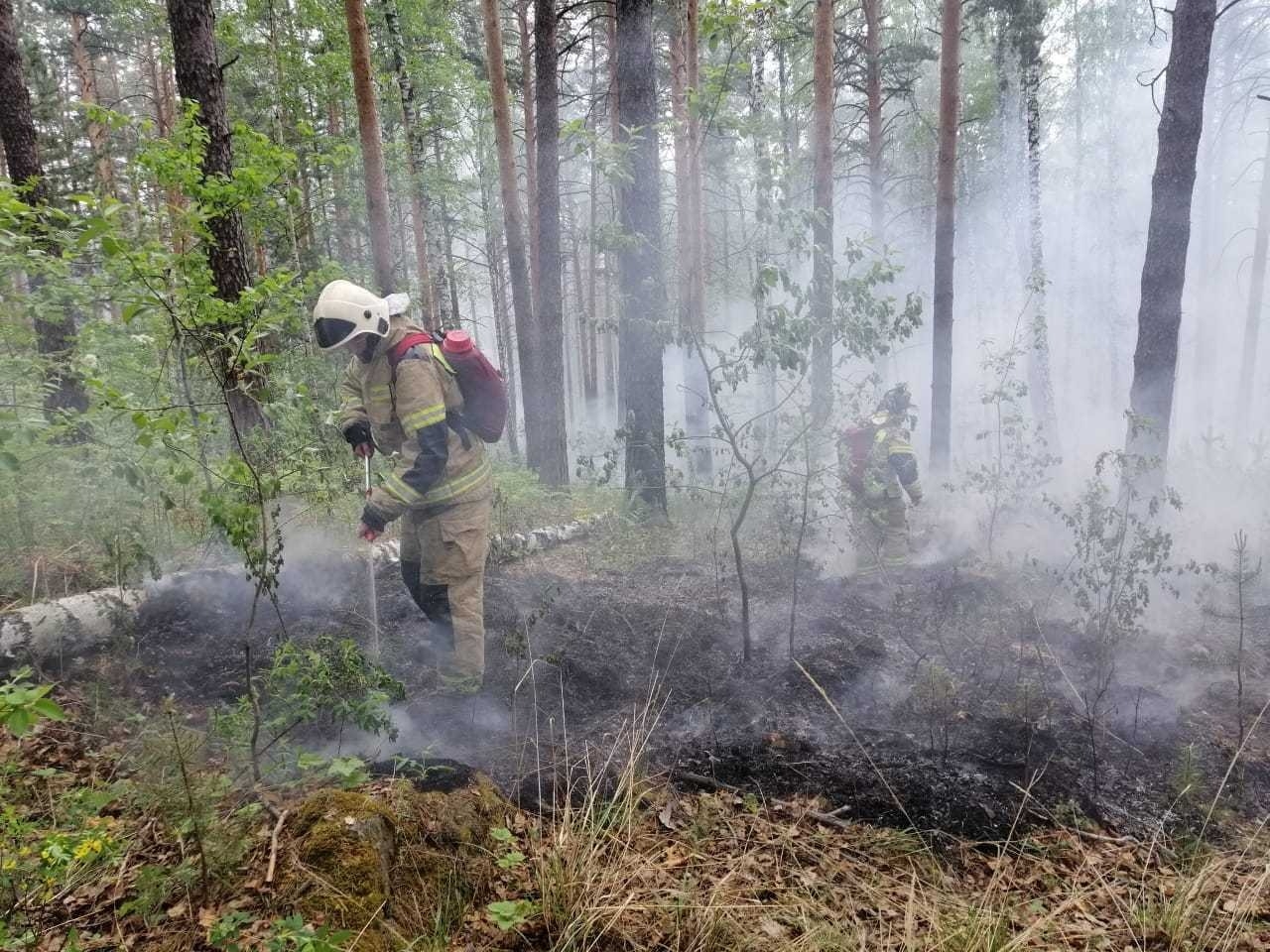 Природный пожар тушат в километре от свердловского поселка