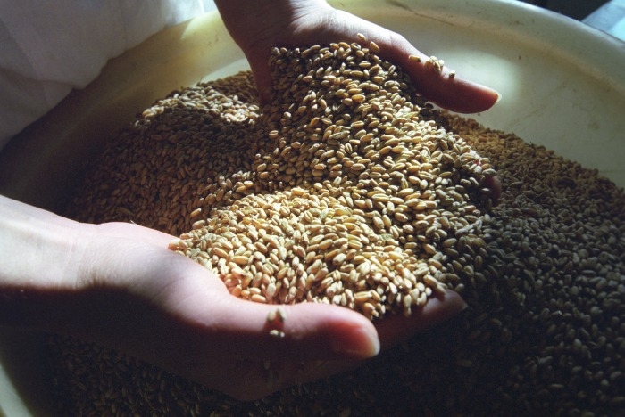 Калининградская область расширила географию зернового экспорта