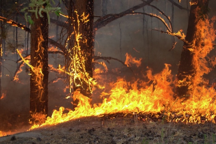 Поселок в Челябинской области эвакуируют из-за лесного пожара, горит 15 домов - власти