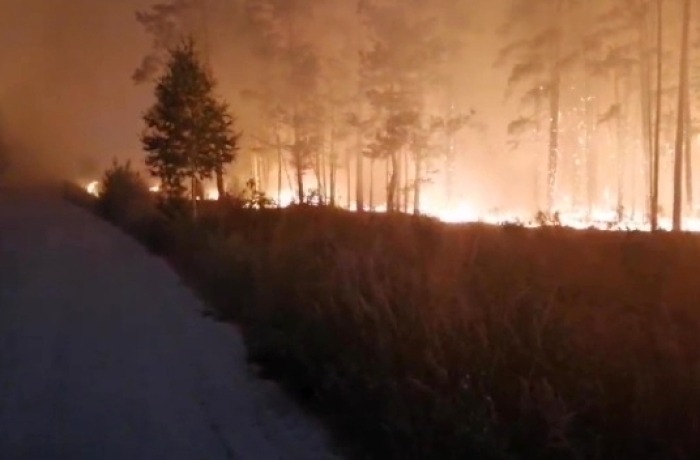 Очагов открытого горения на лесной территории Челябинской области на утро понедельника нет