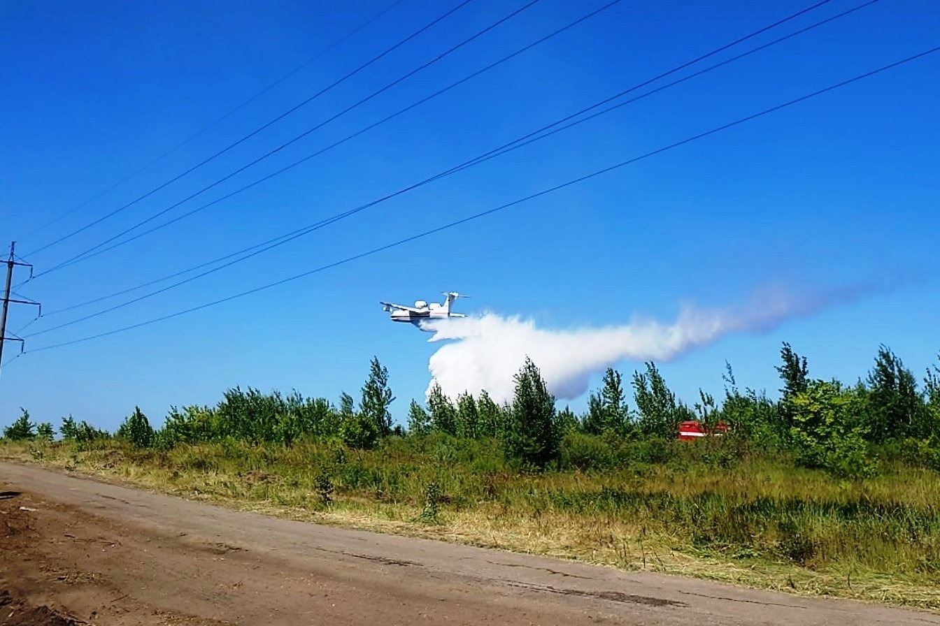 Ликвидировано открытое горение в лесничестве Тольятти