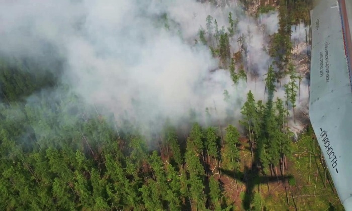 Площадь лесных пожаров в Карелии за выходные выросла вдвое и превысила 4 тыс. га